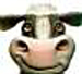 Cartoon Cow