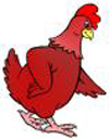 Cartoon Rooster