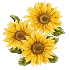 September Flower